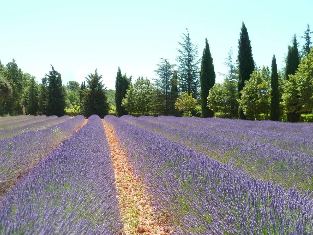 Luberon & Lavandes Roussillon en Isere المظهر الخارجي الصورة